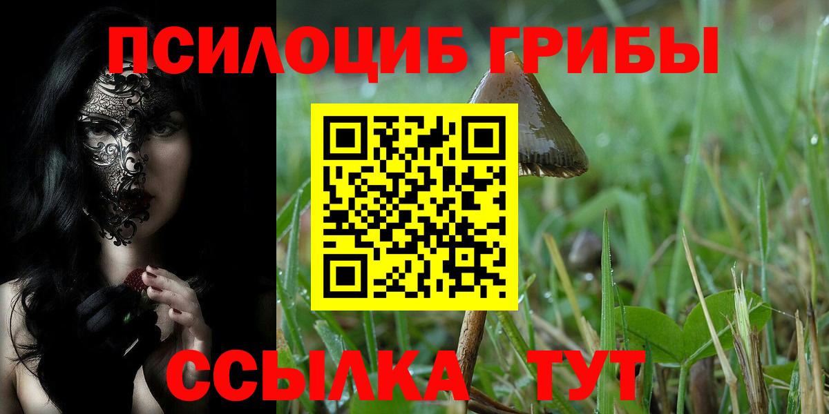 Калач-на-Дону  Псилоцибиновые грибы мицелий  Вход с VPN 